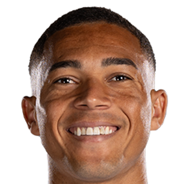 卡洛斯·维尼修斯